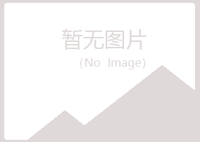 阳明区白山造纸有限公司